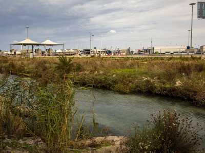 Il motivo? Gli animali sono attirati da un sorprendente �fiumiciattolo� di acqua salmastra contenuto in un canale che scorre tra corso Vittorio Veneto e la strada interna al porto
